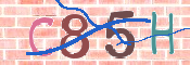 CAPTCHA-Bild